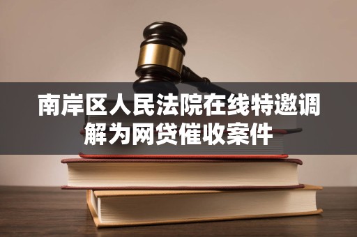 南岸区人民法院在线特邀调解为网贷催收案件