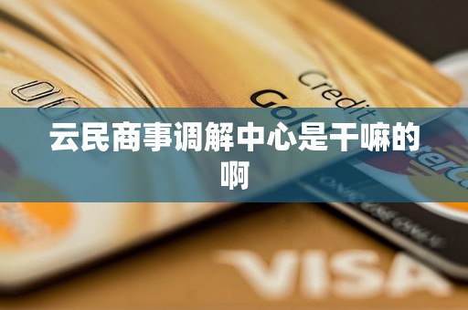 云民商事调解中心是干嘛的啊