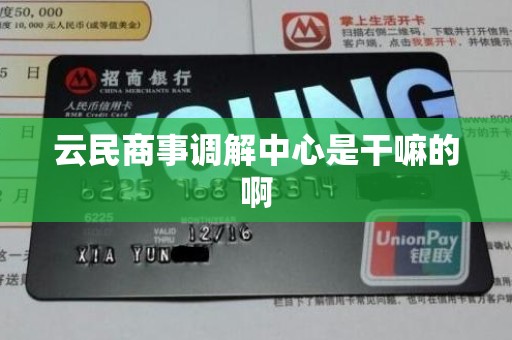 云民商事调解中心是干嘛的啊