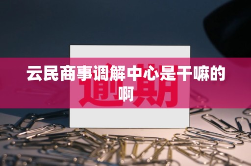 云民商事调解中心是干嘛的啊