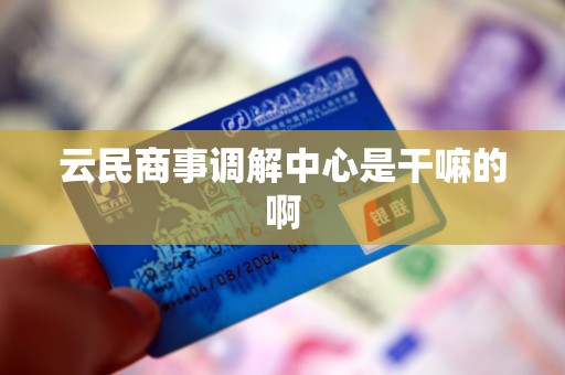 云民商事调解中心是干嘛的啊