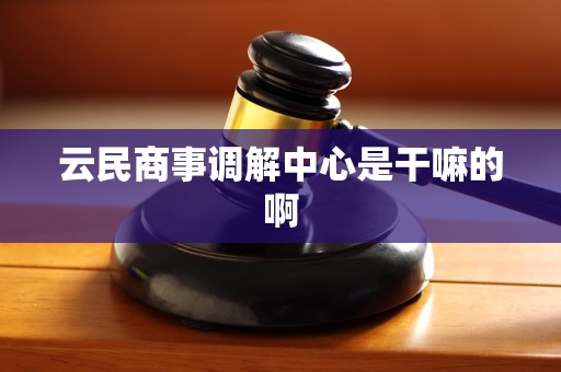 云民商事调解中心是干嘛的啊