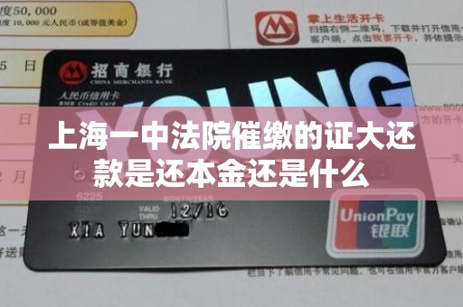 上海一中法院催缴的证大还款是还本金还是什么 上海一中法院催缴的证大还款是还本金还是什么