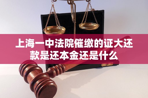 上海一中法院催缴的证大还款是还本金还是什么 上海一中法院催缴的证大还款是还本金还是什么