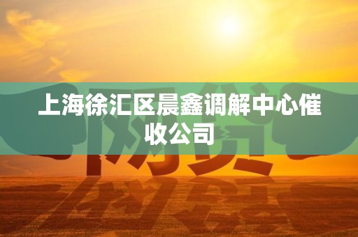 上海徐汇区晨鑫调解中心催收公司