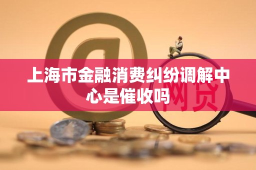 上海市金融消费纠纷调解中心是催收吗