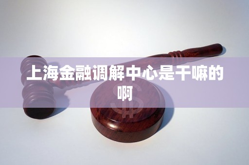 上海金融调解中心是干嘛的啊 上海金融调解中心是干嘛的啊
