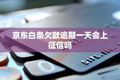 京东白条欠款逾期一天会上征信吗