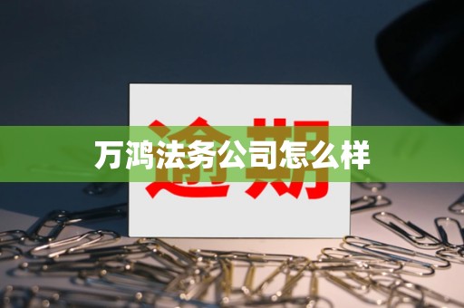 万鸿法务公司怎么样 万鸿法务公司怎么样