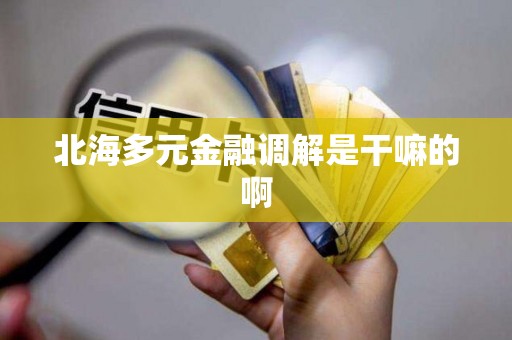 北海多元金融调解是干嘛的啊 北海多元金融调解是干嘛的啊