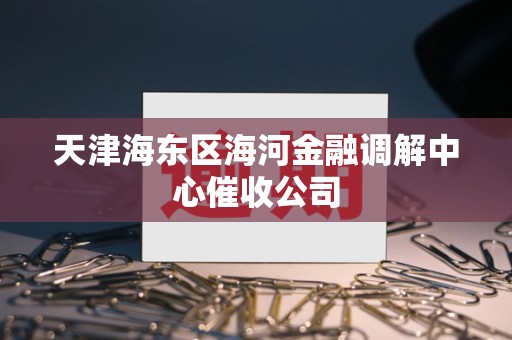 天津海东区海河金融调解中心催收公司 天津海东区海河金融调解中心催收公司