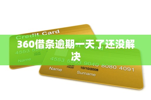 360借条逾期一天了还没解决