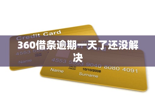360借条逾期一天了还没解决