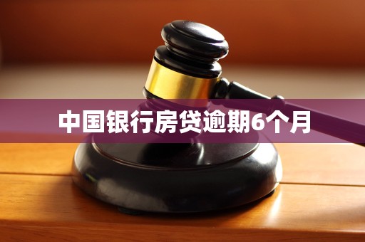 中国银行房贷逾期6个月
