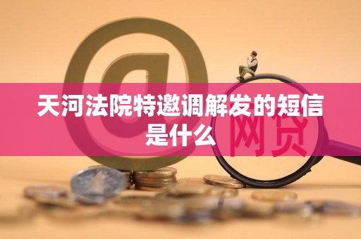 天河法院特邀调解发的短信是什么