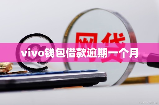 vivo钱包借款逾期一个月