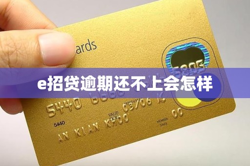 e招贷逾期还不上会怎样 e招贷逾期还不上会怎样