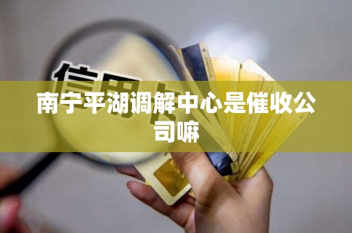 南宁平湖调解中心是催收公司嘛 南宁平湖调解中心是催收公司嘛