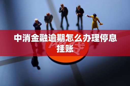 中消金融逾期怎么办理停息挂账