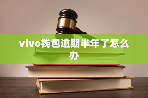 vivo钱包逾期半年了怎么办