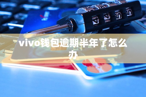 vivo钱包逾期半年了怎么办