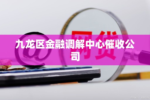 九龙区金融调解中心催收公司