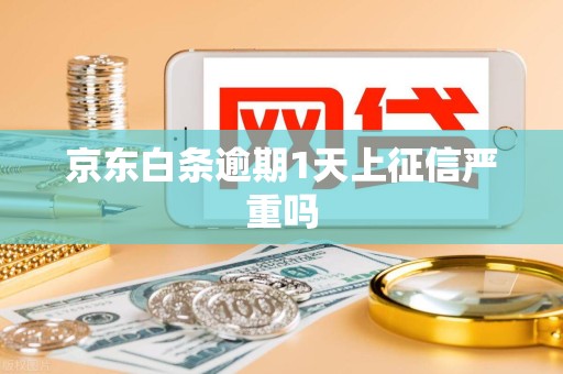 京东白条逾期1天上征信严重吗 京东白条逾期1天上征信严重吗