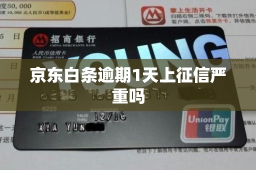 京东白条逾期1天上征信严重吗 京东白条逾期1天上征信严重吗