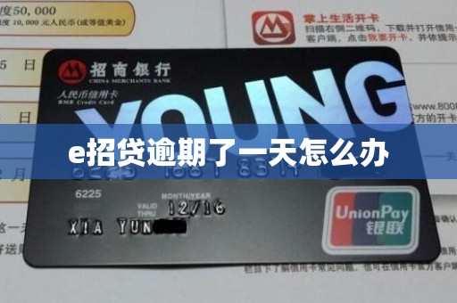 e招贷逾期了一天怎么办