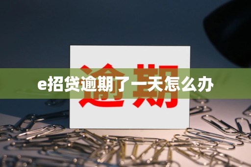e招贷逾期了一天怎么办