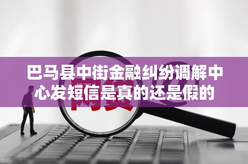 巴马县中街金融纠纷调解中心发短信是真的还是假的