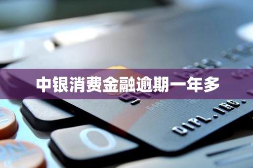 中银消费金融逾期一年多