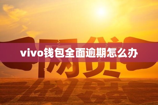 vivo钱包全面逾期怎么办