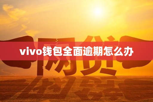vivo钱包全面逾期怎么办