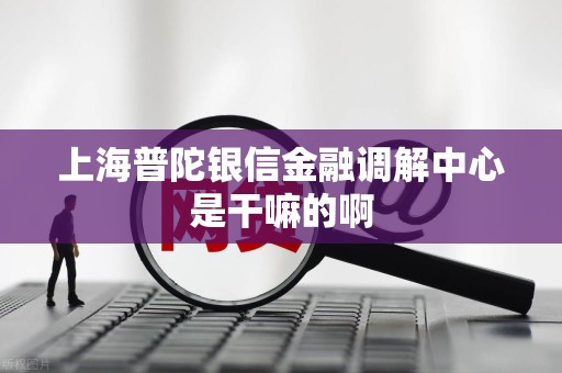 上海普陀银信金融调解中心是干嘛的啊 上海普陀银信金融调解中心是干嘛的啊