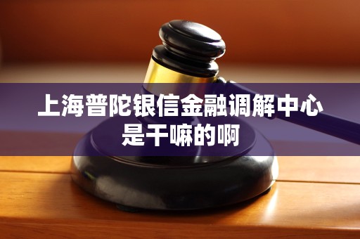 上海普陀银信金融调解中心是干嘛的啊 上海普陀银信金融调解中心是干嘛的啊