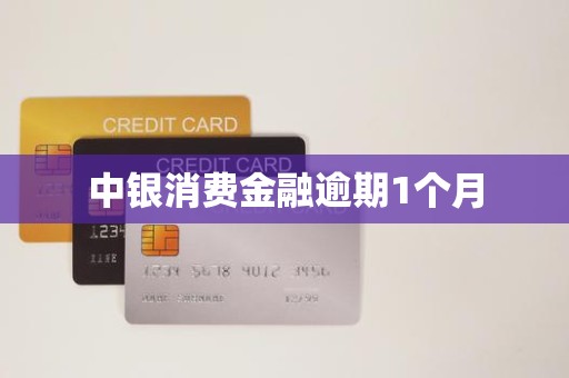 中银消费金融逾期1个月