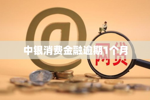 中银消费金融逾期1个月