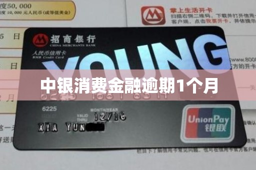 中银消费金融逾期1个月