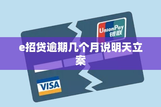 e招贷逾期几个月说明天立案