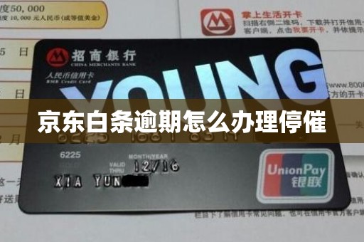 京东白条逾期怎么办理停催