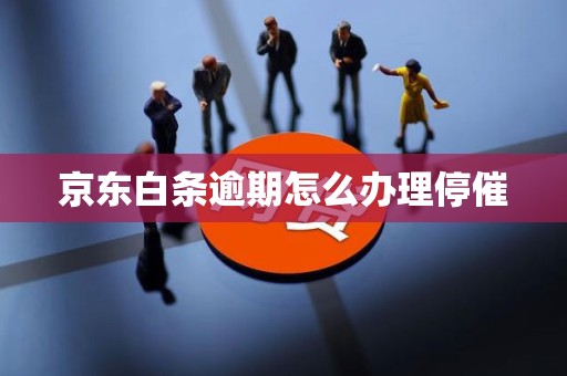京东白条逾期怎么办理停催