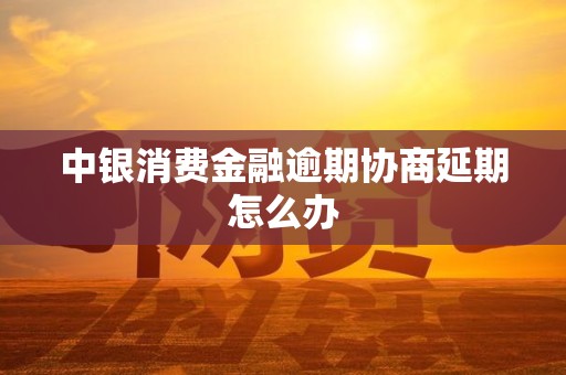 中银消费金融逾期协商延期怎么办