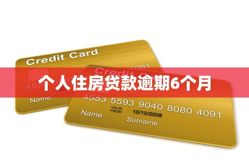 个人住房贷款逾期6个月