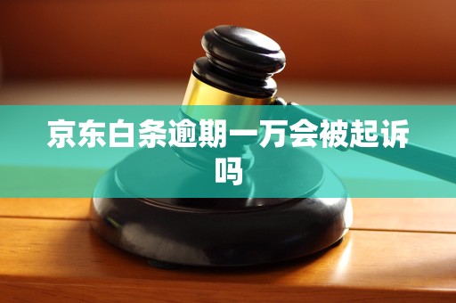 京东白条逾期一万会被起诉吗