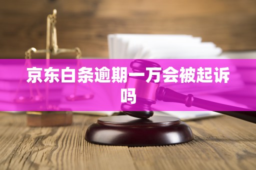 京东白条逾期一万会被起诉吗