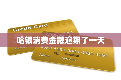 哈银消费金融逾期了一天