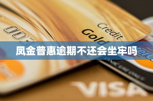 凤金普惠逾期不还会坐牢吗