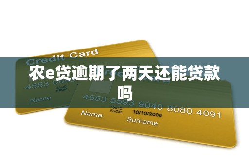 农e贷逾期了两天还能贷款吗