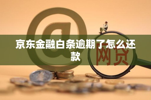 京东金融白条逾期了怎么还款